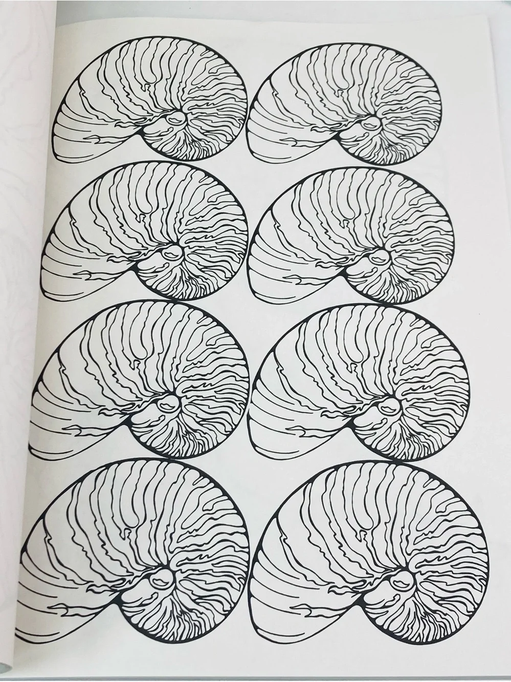 Ruth Heller ✂️ 🧶